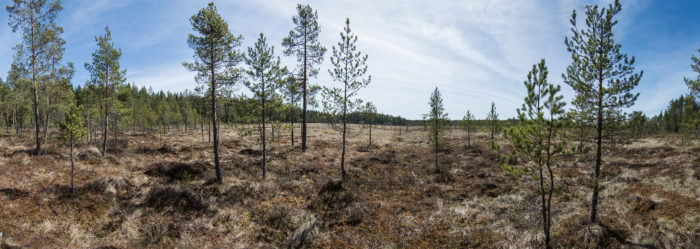 Panorama3_web